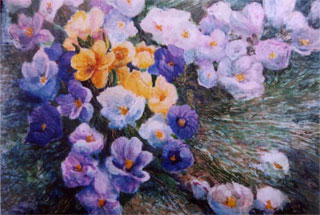 Crocuses