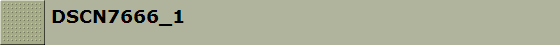 DSCN7666_1