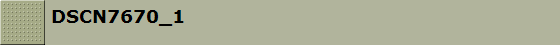 DSCN7670_1