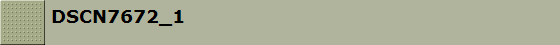 DSCN7672_1