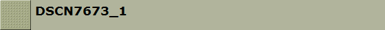 DSCN7673_1