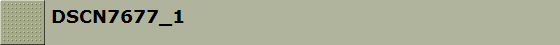 DSCN7677_1