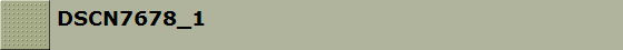 DSCN7678_1