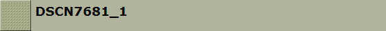 DSCN7681_1