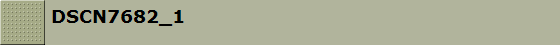 DSCN7682_1