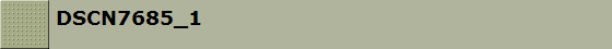 DSCN7685_1