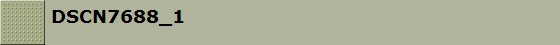 DSCN7688_1