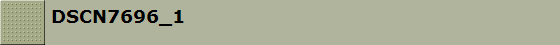 DSCN7696_1
