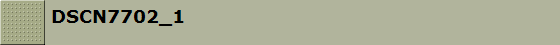 DSCN7702_1