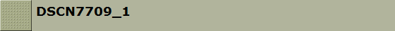 DSCN7709_1