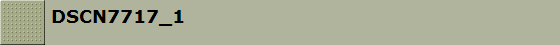 DSCN7717_1