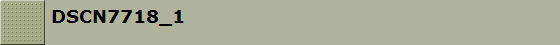 DSCN7718_1