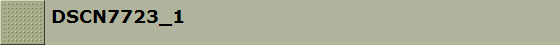 DSCN7723_1