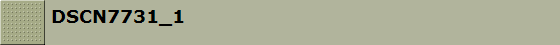 DSCN7731_1