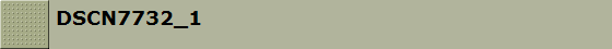 DSCN7732_1