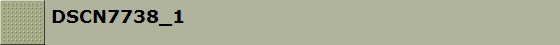 DSCN7738_1