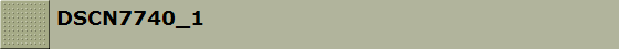 DSCN7740_1