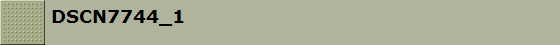 DSCN7744_1