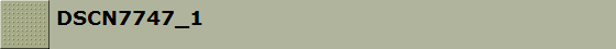 DSCN7747_1