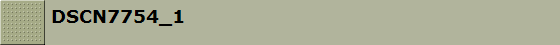 DSCN7754_1