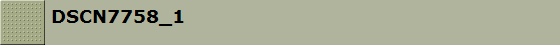 DSCN7758_1