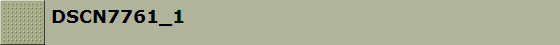 DSCN7761_1