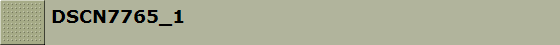 DSCN7765_1