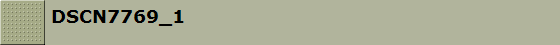 DSCN7769_1