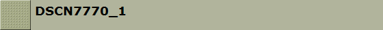 DSCN7770_1