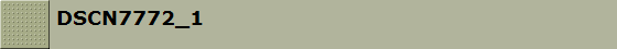 DSCN7772_1
