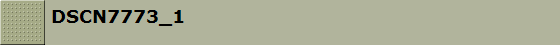DSCN7773_1