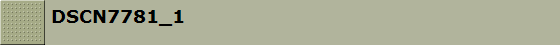 DSCN7781_1