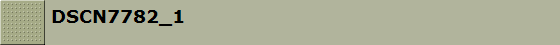 DSCN7782_1