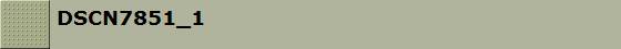 DSCN7851_1