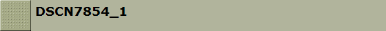 DSCN7854_1