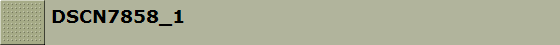 DSCN7858_1