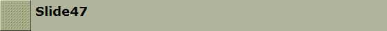 Slide47