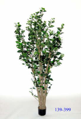 139-399=206=20foot=20deluxe=20ficus=20939=20lvs_1