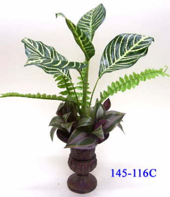 145-116=20C_1