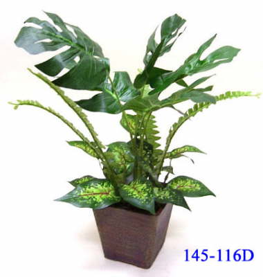 145-116=20D_1