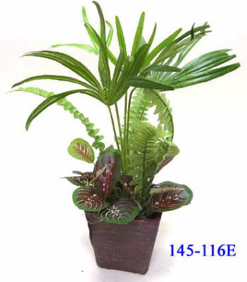 145-116=20E_1