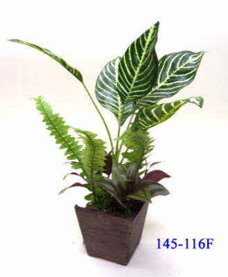 145-116=20F_1