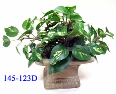 145-123=20D_1
