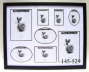 Binder1_16_0001