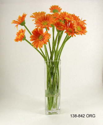 DSCN7670_1