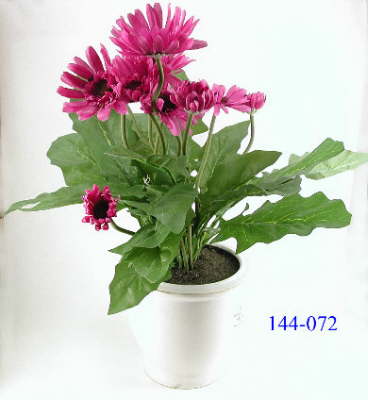 DSCN7677_1