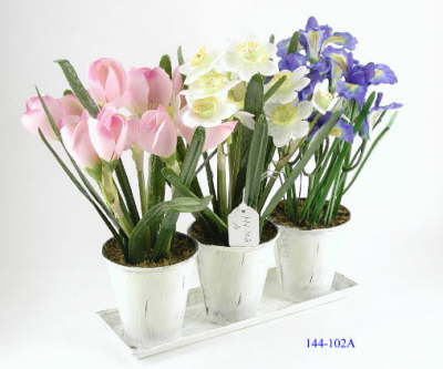 DSCN7685_1