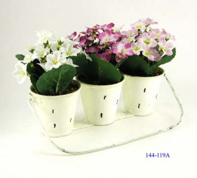 DSCN7688_1