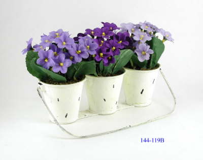 DSCN7690_1