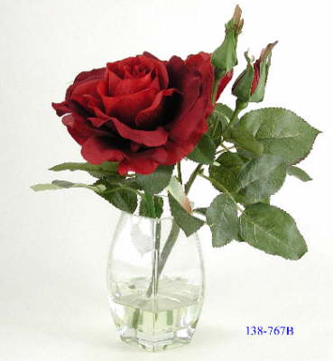 DSCN7693_1